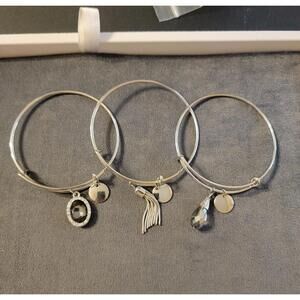 3 Expandable Wire Bangle Charm Bracelets